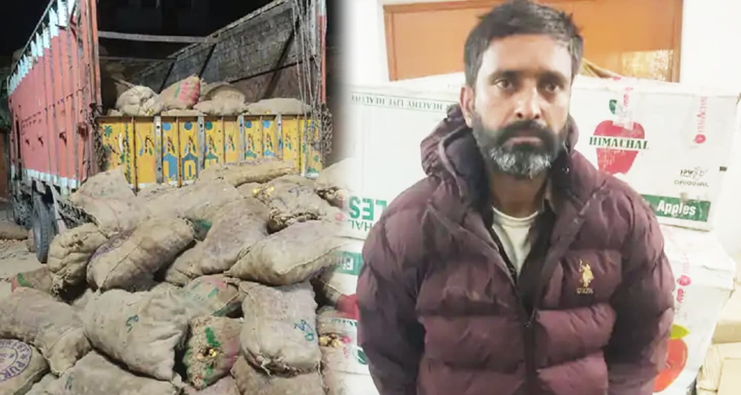 सेब की पेटी में शराब और ऊपर से आलू की बोरियां : UP में अरेस्ट हुआ कांगड़ा का तस्कर Illegal Liquor Seizure