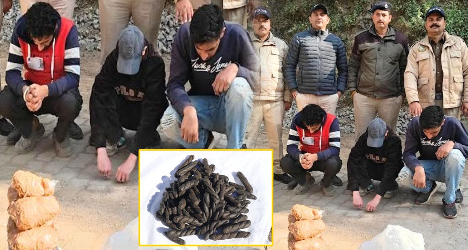 हिमाचल में नशा सप्लाई करने आए थे तीन यार : ग्राहक से पहले पहुंची पुलिस, हुए गिरफ्तार Charas Smugglers