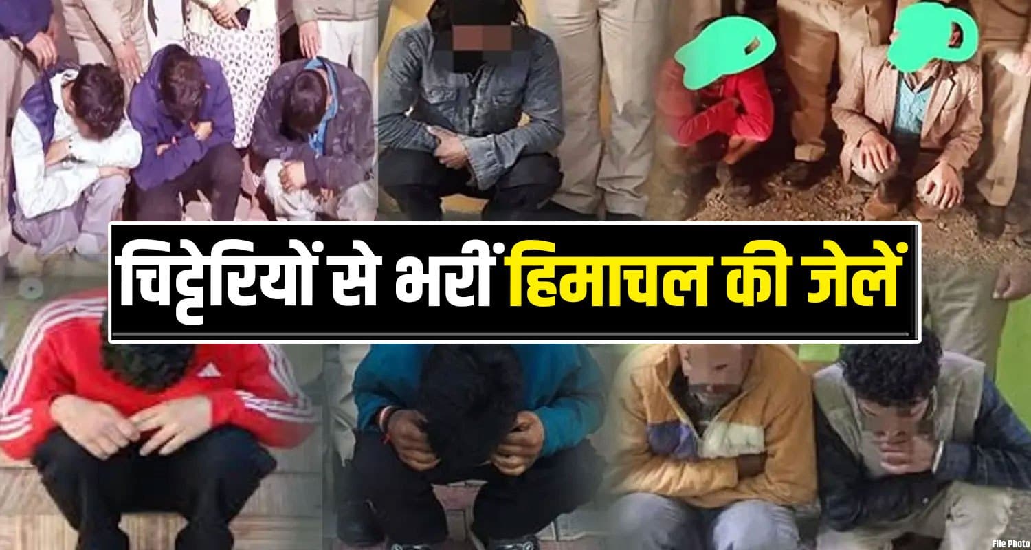 हिमाचल में 36 किलो चिट्टा बरामद : आठ हजार से ज्यादा तस्कर गिरफ्तार, महिलाएं भी शामिल Chitta Smugglers