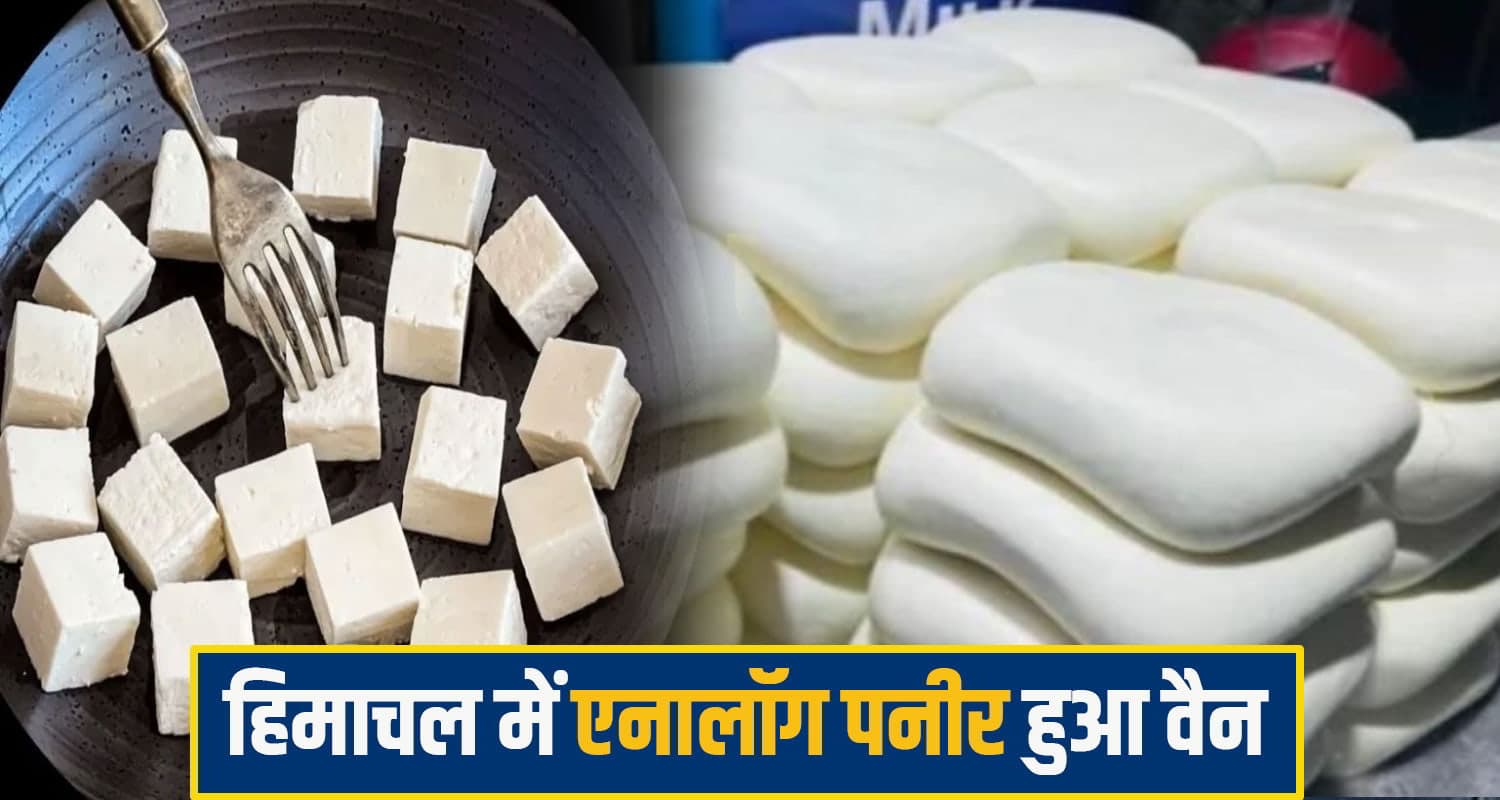 सुक्खू सरकार का बड़ा फैसला: हिमाचल में एक साल के लिए 'एनालॉग पनीर' पर लगाई रोक, आदेश जारी aanlog paneer himachal