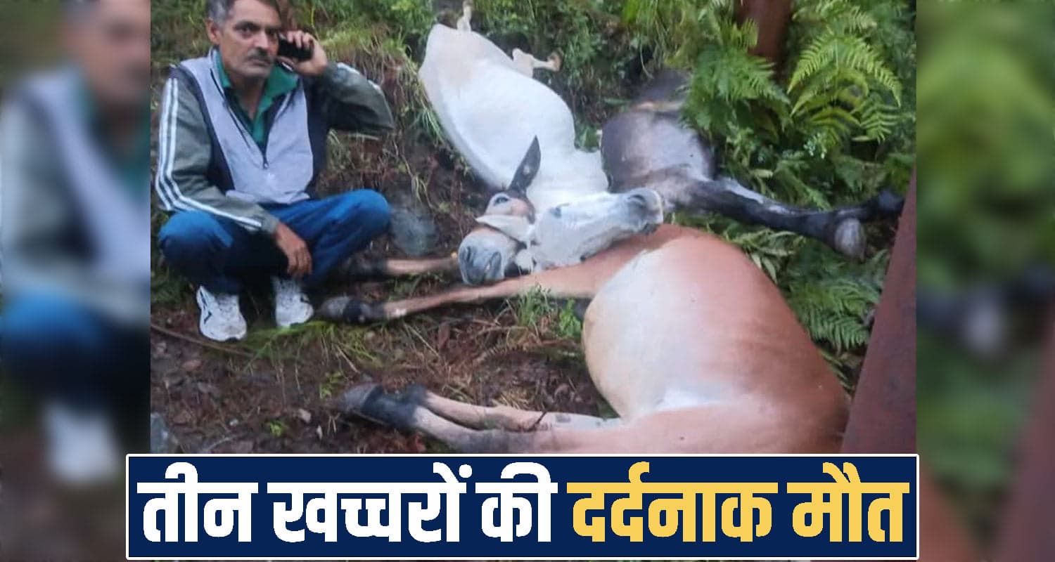 हिमाचल : भारी बारिश के बीच गिरी आसमानी बिजली, मौके पर 3 ने तोड़ा दम- मचा हाहाकार Himachal Pradesh News