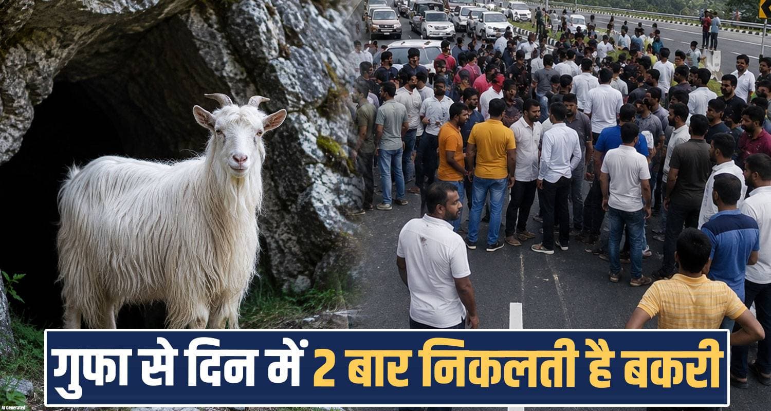 हिमाचल में नया चमत्कार...बकरी को 'देवी रूप' मान रहे लोग, जानें क्या है मामला goat cave people belief kullu crowd himachal jogani mata