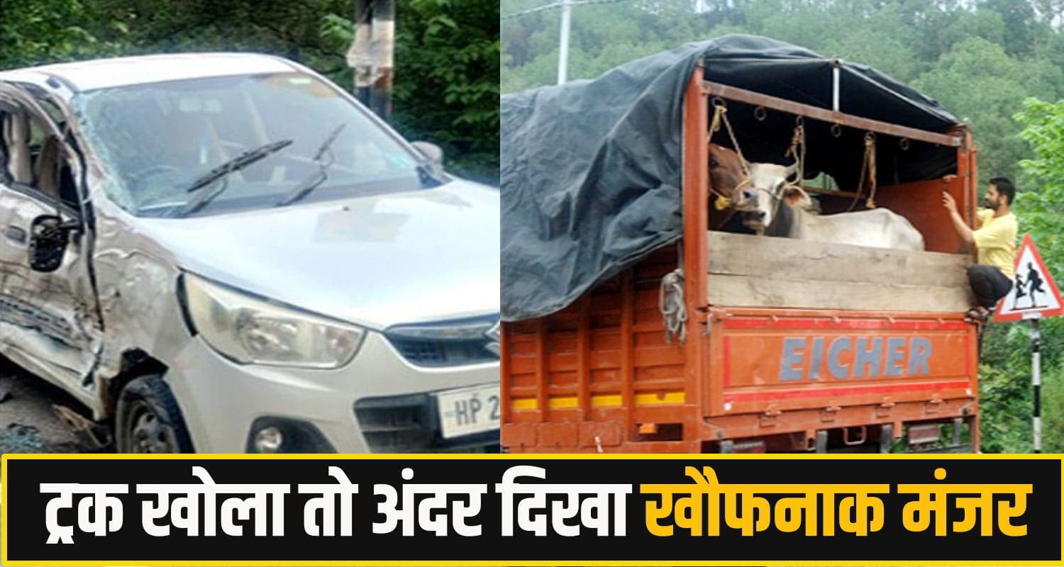 हिमाचल: सड़क हा*दसे ने खोली बड़ी तस्करी की पोल, ट्रक की तलाशी लेते पुलिस के उड़े होश; नंबर भी फर्जी Himachal Pradesh Cow Smuggling