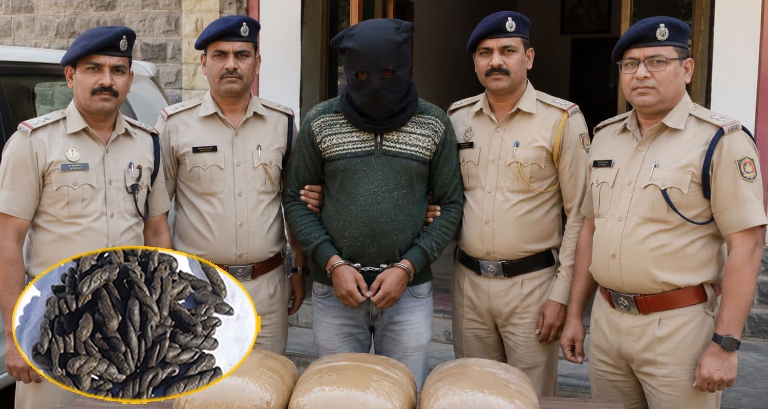 हिमाचल में 3 KG चरस के साथ पकड़ा गया तस्कर : अब 13 साल तक रहेगा सलाखों के पीछे Charas Smuggling NDPS Act Kullu Court Banjar Himachal Police