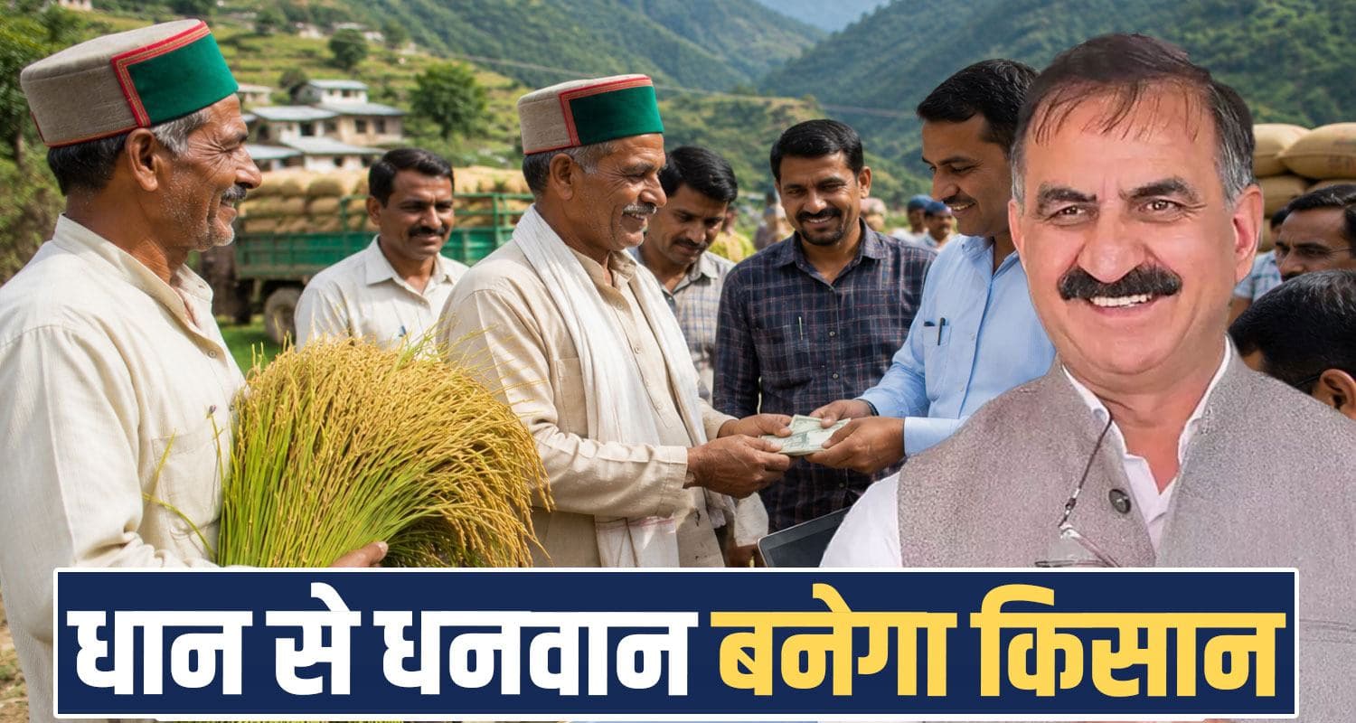 सुक्खू सरकार ने धान किसानों को दी बड़ी सौगात: MSP 72 रुपये बढ़ाया, 48 घंटे में मिलेगा भुगतान Himachal Pradesh Paddy MSP Hike Procurement Farmers Kangra Agriculture