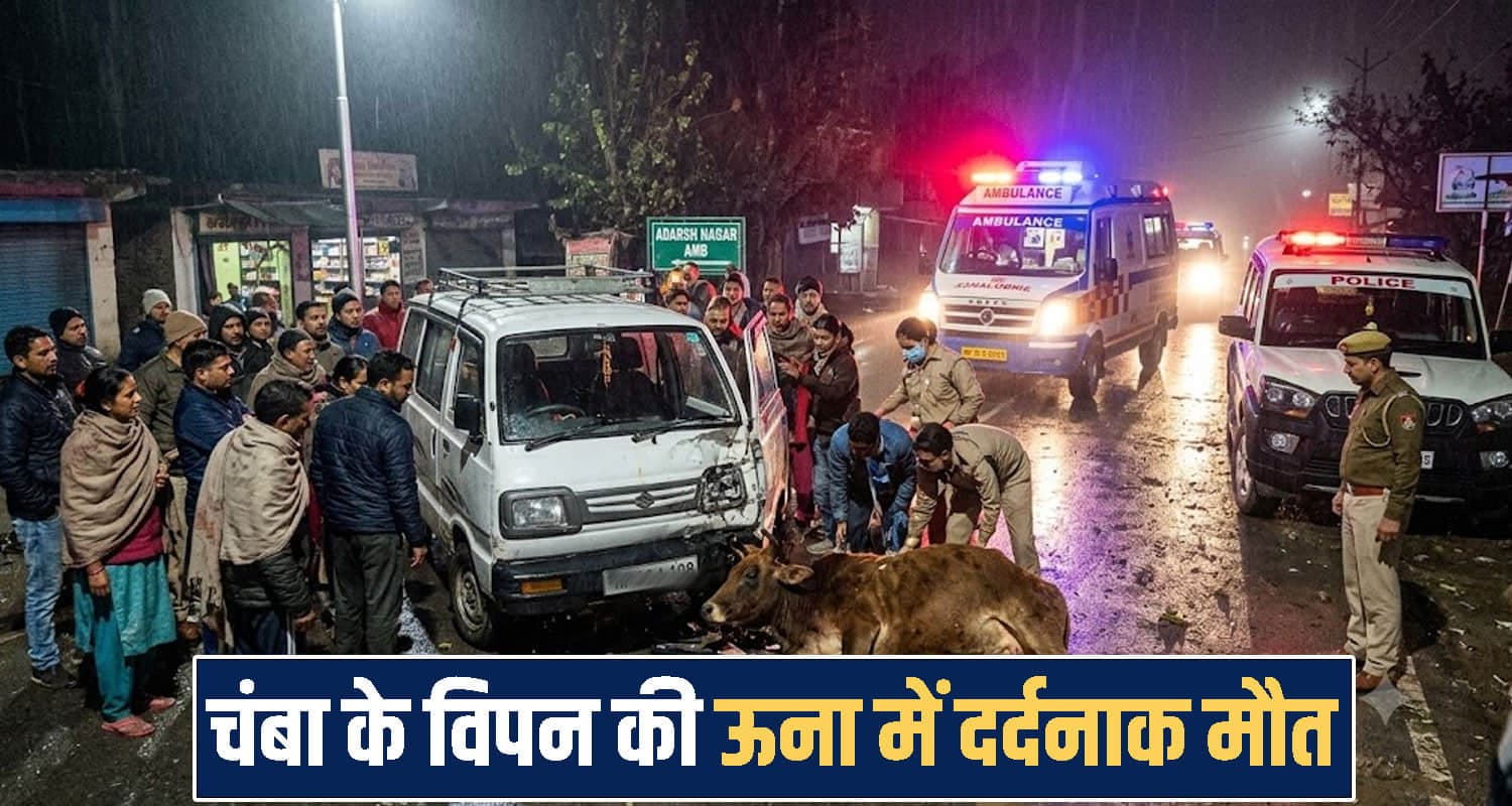 हिमाचल : बीच सड़क पर खड़े आवारा बैल से टकरा गई वैन, एक शख्स की मौ*त दूसरा गंभीर Himachal Pradesh una news