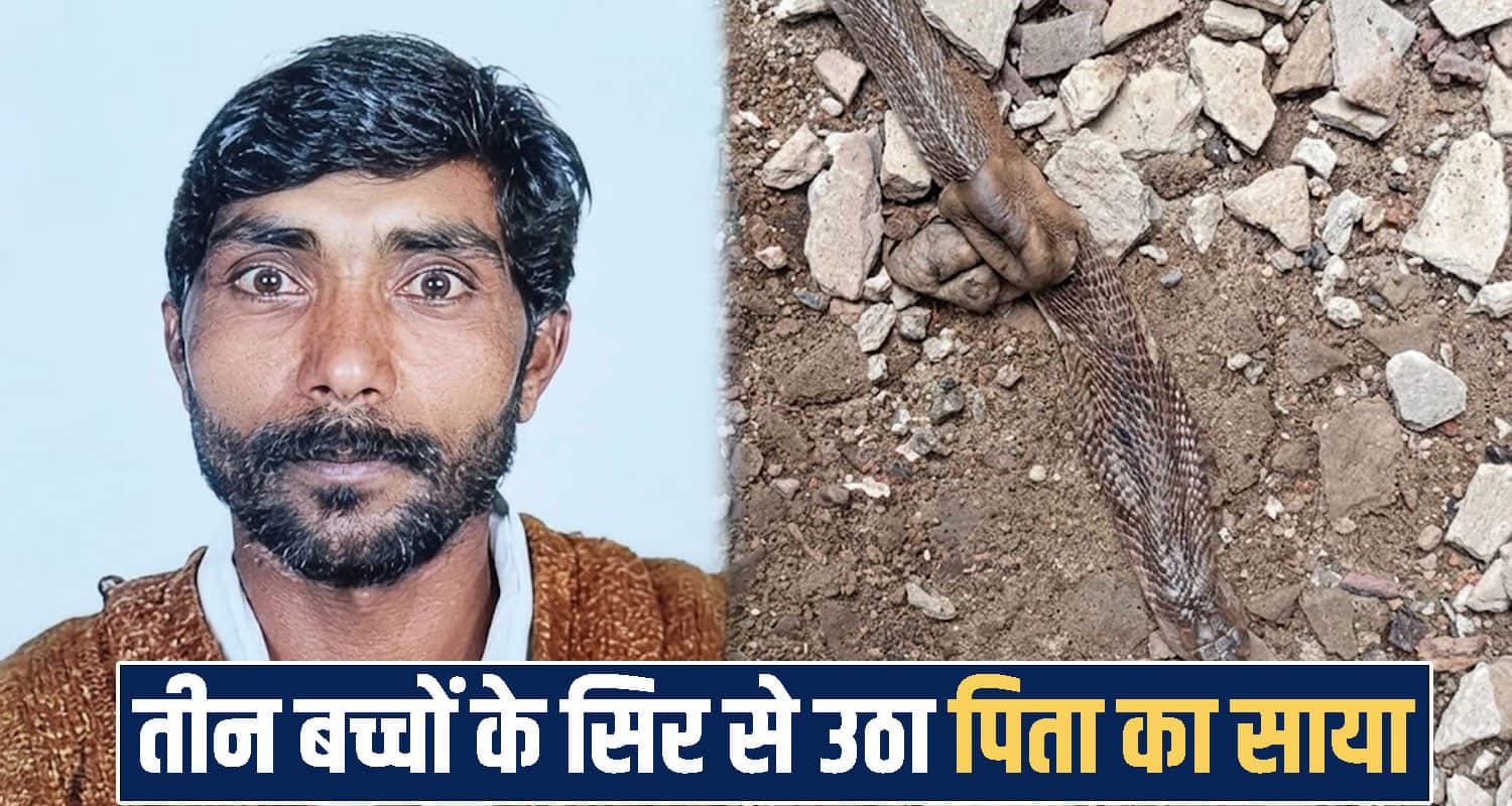हिमाचल: फैक्ट्री में सांप के डसने से शख्स ने तोड़ा दम, पत्नी और तीन बच्चों को छोड़ गया बेसहारा Himachal news