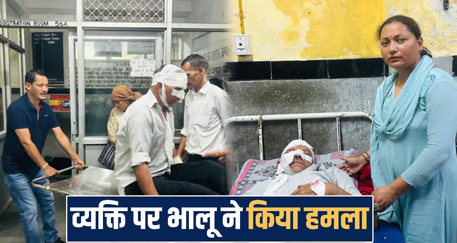 हिमाचल : सेब के बगीचे में काम कर रहे व्यक्ति पर झपटा भालू, किया बूरा हाल himachal shimla news
