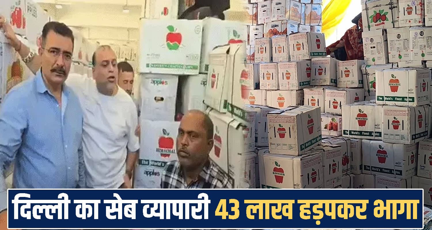 हिमाचल की मंडी में 43 लाख का खेल : दिल्ली का व्यापारी सेब लेकर फरार, बागवानों की पेमेंट फंसी himachal Shimla News