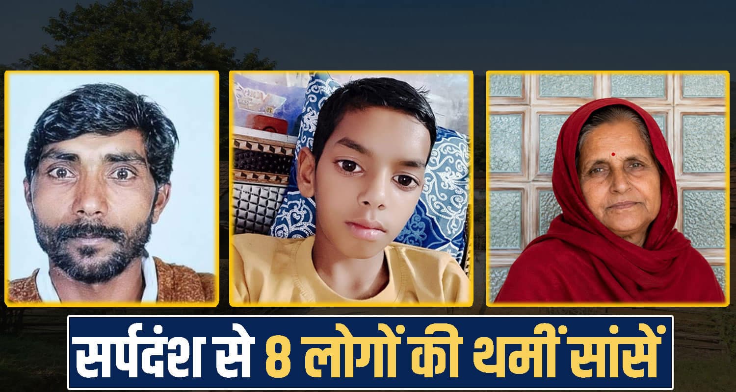हिमाचल : बरसात में सर्पदंश से 8 लोगों की थमीं सांसें- मासूम तक बने शिका..र, आप भी रहें सतर्क Himachal Pradesh News