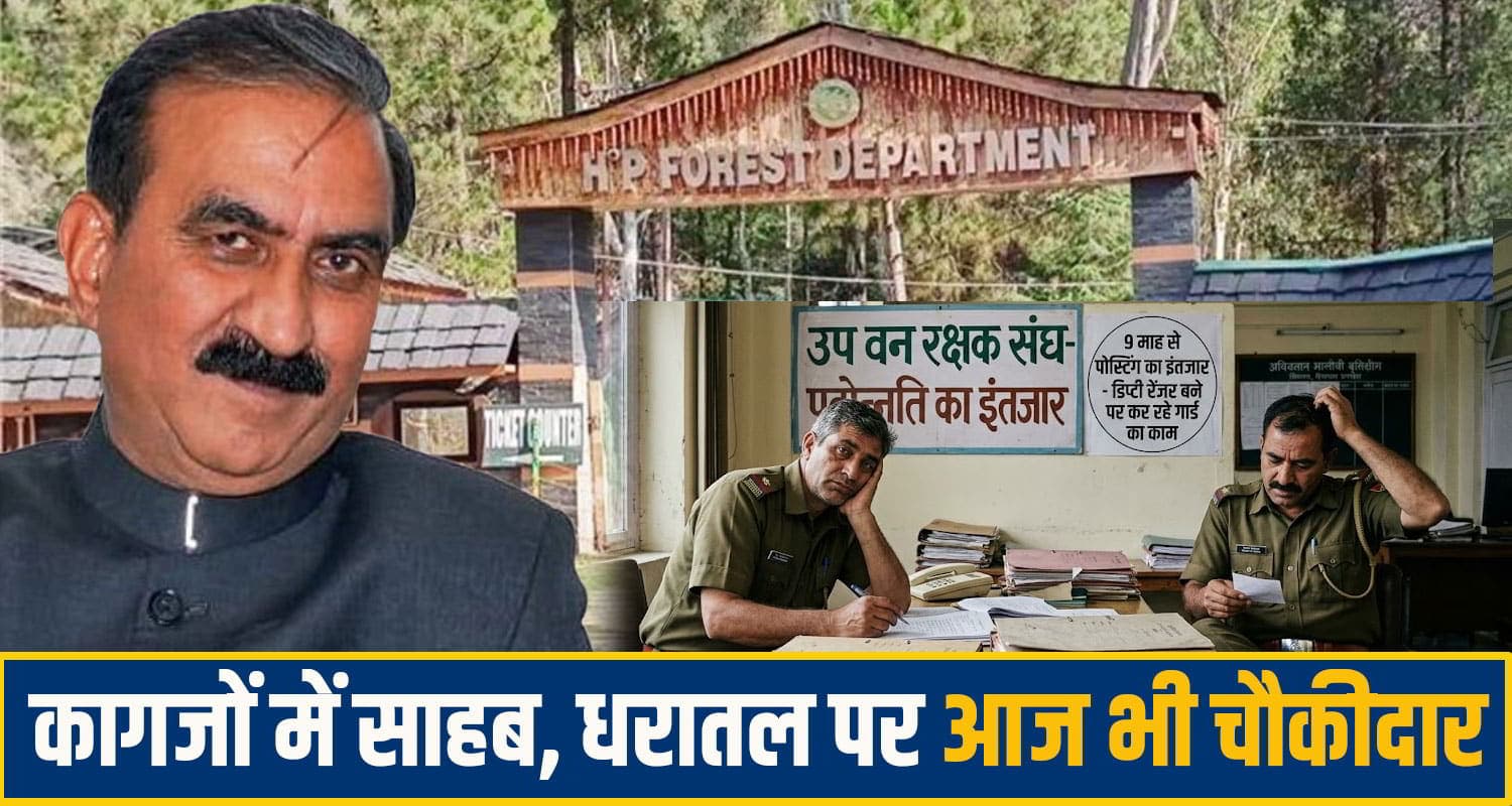 सुक्खू सरकार के हाल: पदोन्नत कर पोस्टिंग देना भूली, 9 माह से वन रक्षक का काम कर रहे 300 डिप्टी रेंजर Himachal Forest Department