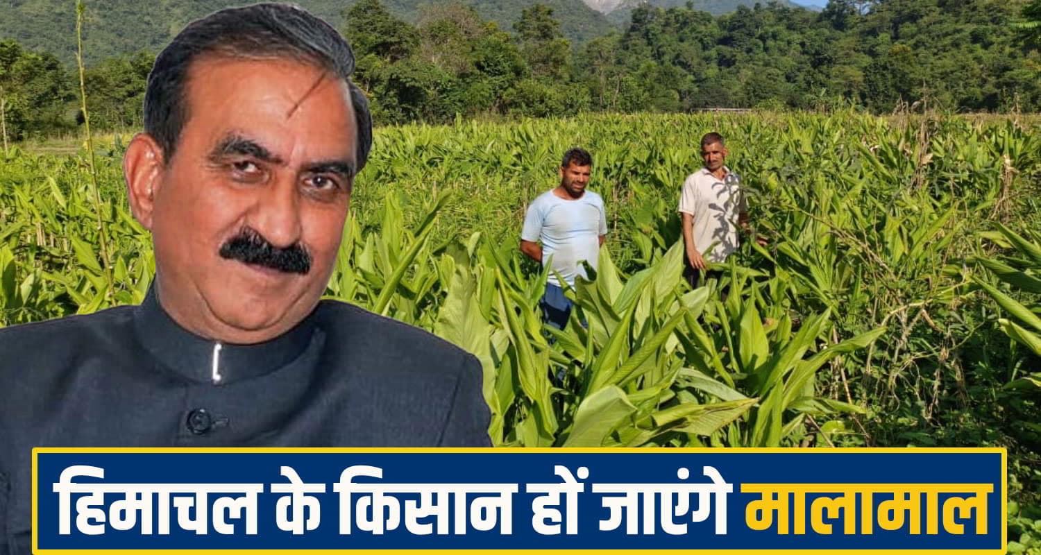 सुक्खू सरकार किसानों के लिए करने जा रही कुछ बड़ा, बदल जाएगी उनकी किस्मत! जानें क्या है मास्टर प्लान Himachal Pradesh Agriculture