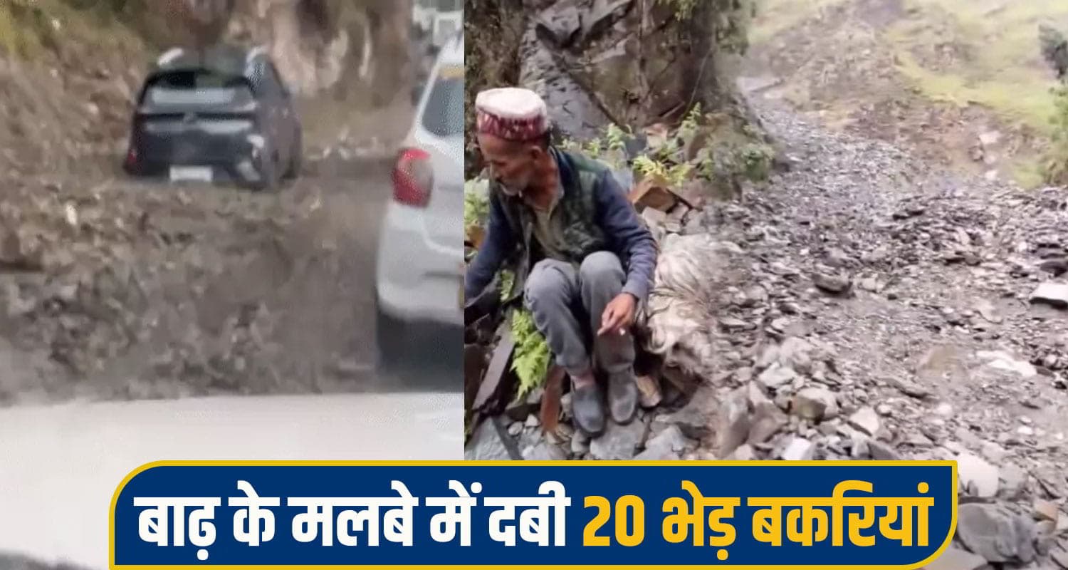 हिमाचल में प्री मानसून ने दिखाए तेवर, बाढ़ के मलबे में दबी 20 बेजुबान जिंदगियां; गाड़ियों पर गिरे पेड़ himachal weather