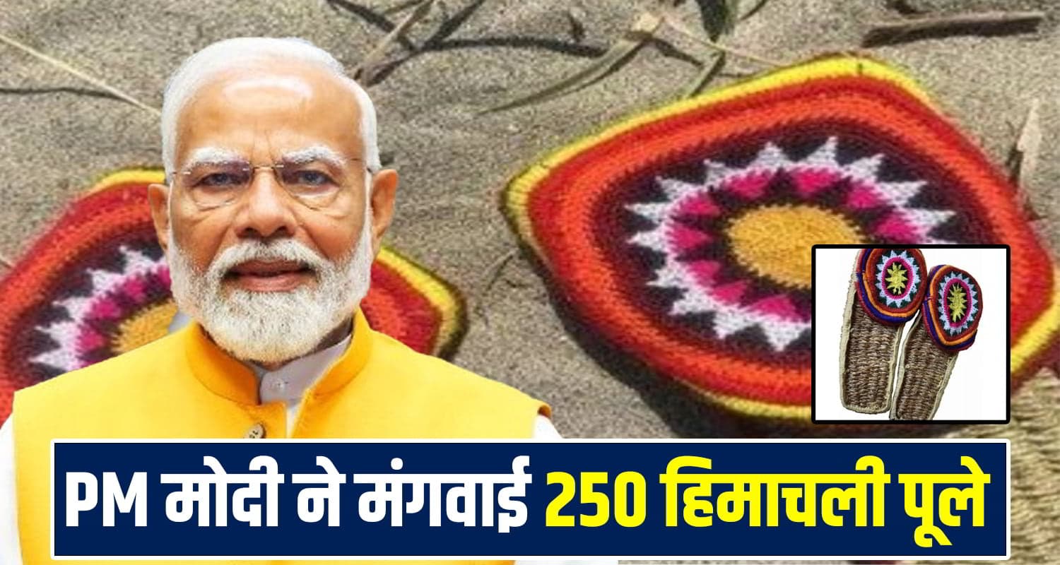 PM मोदी ने मंगवाई हिमाचली पूले, काशी विश्वनाथ मंदिर के पंडितों को की भेंट, जानें क्या है इनकी खासियत PM Narendra Modi