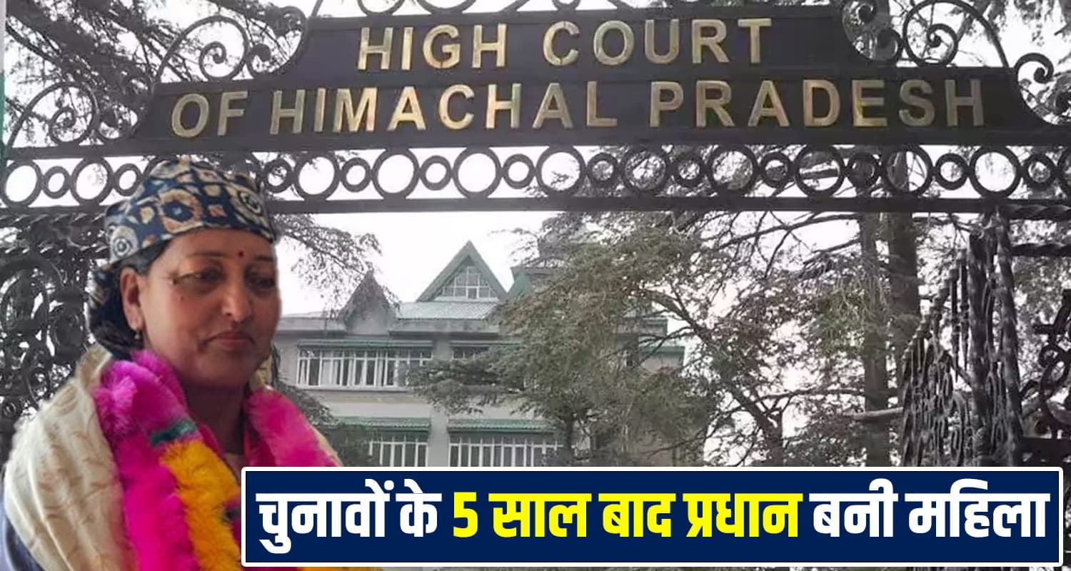हिमाचल: 5 साल तक प्रधान बनने का लड़ा केस, अब सिर्फ कुछ दिनों के लिए मिली कुर्सी Himachal Panchayat Election