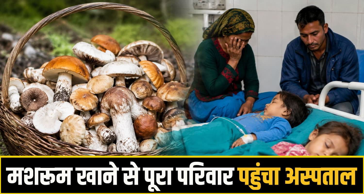 हिमाचल: जंगली मशरूम ने अस्पताल पहुंचाया पूरा परिवार, दो मासूमों सहित 8 की बिगड़ी तबीयत kullu News