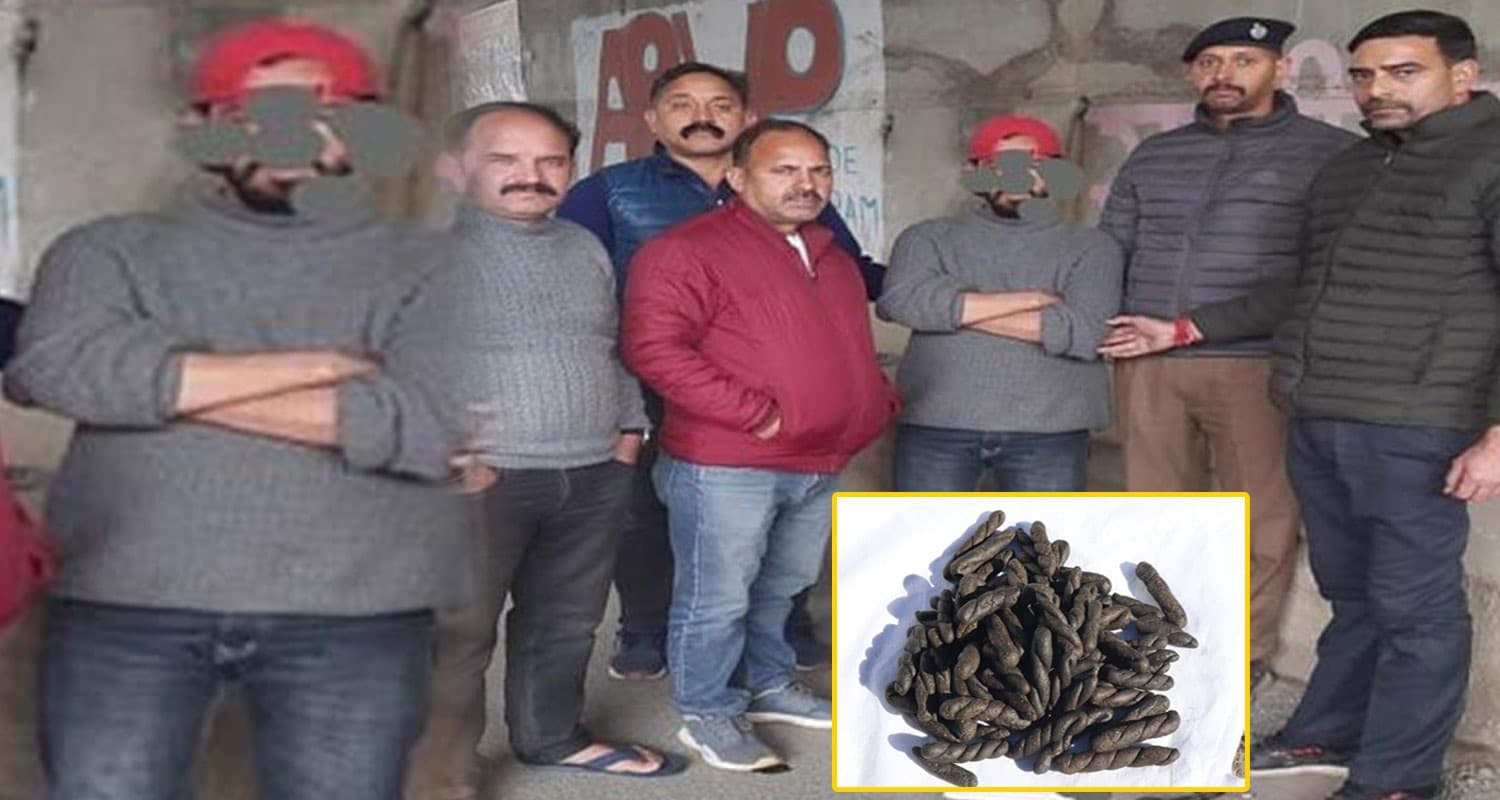 हिमाचल : पैदल चरस सप्लाई करने निकला था युवक, पुलिस को देख लिया यू-टर्न; हो गया अरेस्ट Mandi Charas Smuggler