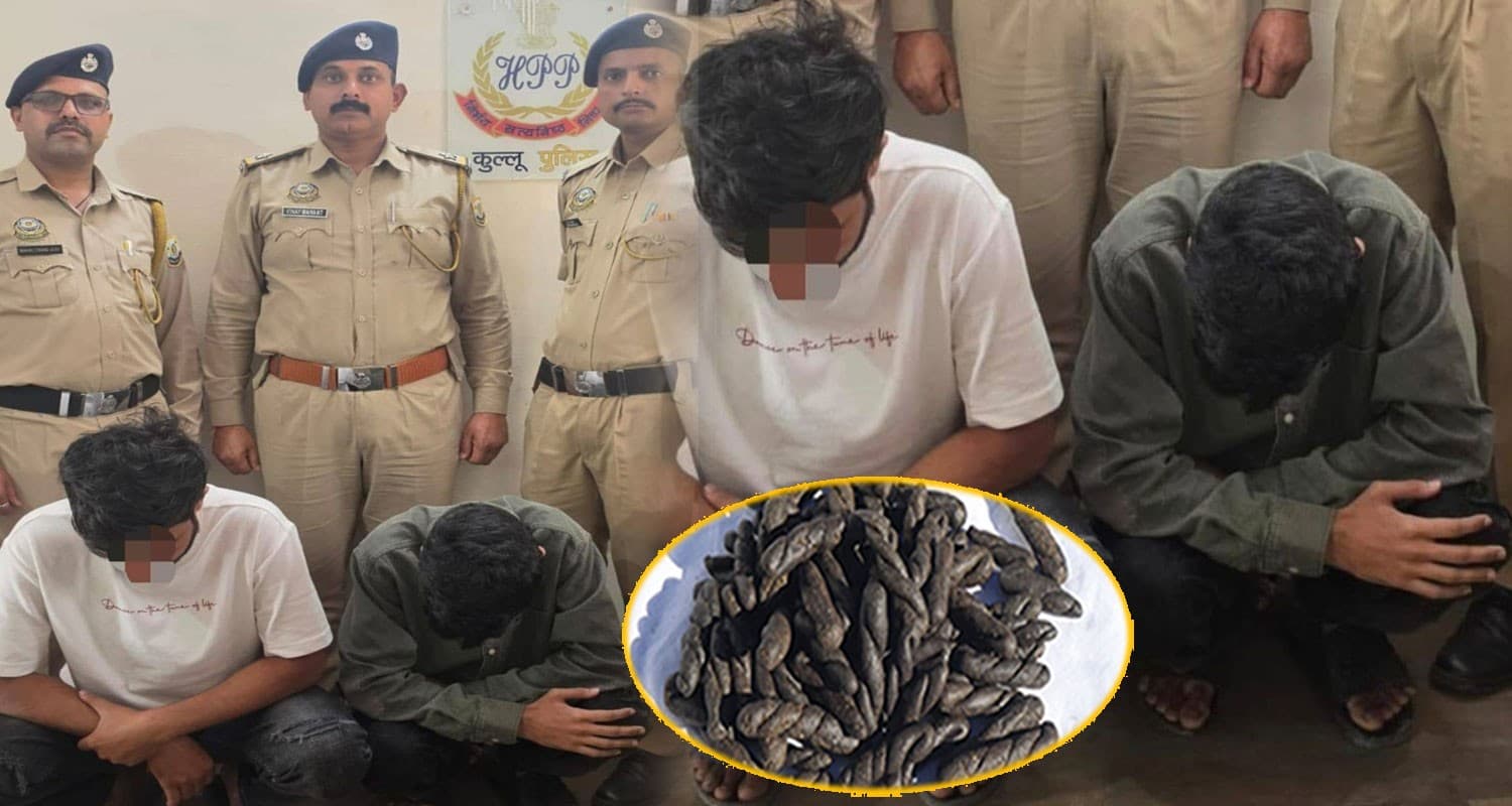 हिमाचल में बड़ी डील करने आए थे मुंबई के दो युवक : पुलिस ने ढेर सारी चरस और कैश संग धरे kullu police arrest two youths 202 grams charas cash manikaran valley