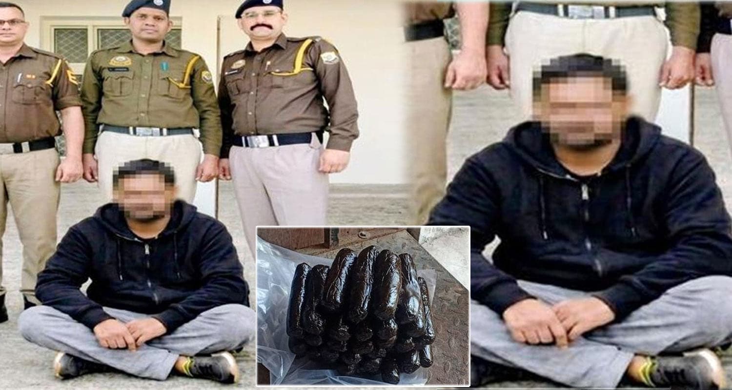 हिमाचल पुलिस ने नाके पर पकड़ा 'नेता जी' का बेटा : ढेर सारी चरस बरामद, सप्लाई करने निकला था NDPS Act