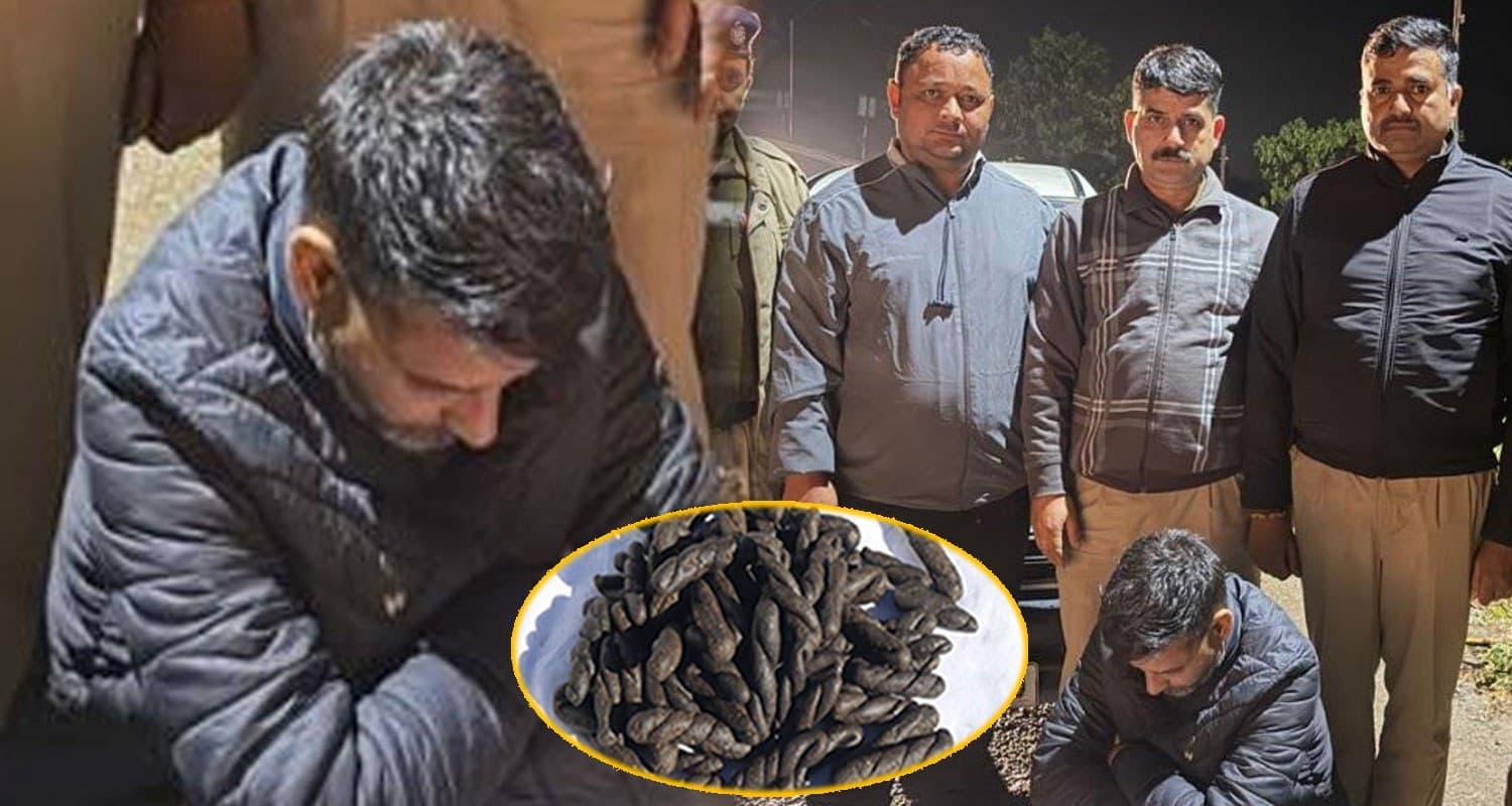 हिमाचल पुलिस ने ढेर सारे चिट्टे संग धरा व्यक्ति, नवरात्र के पहले दिन करने निकला था धंधा Chitta Smuggler man maruti car bilaspur road himachal police