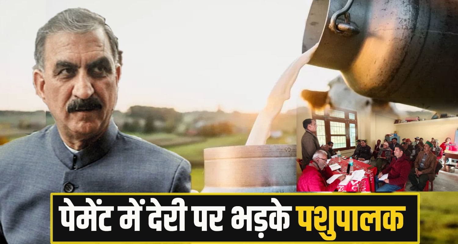 सुक्खू सरकार का भद्दा मजाक ! दुध के दाम बढ़ाए, पर महीनों नहीं मिल रही पेमेंट; आंदोलन की तैयारी rampur bushar milk man