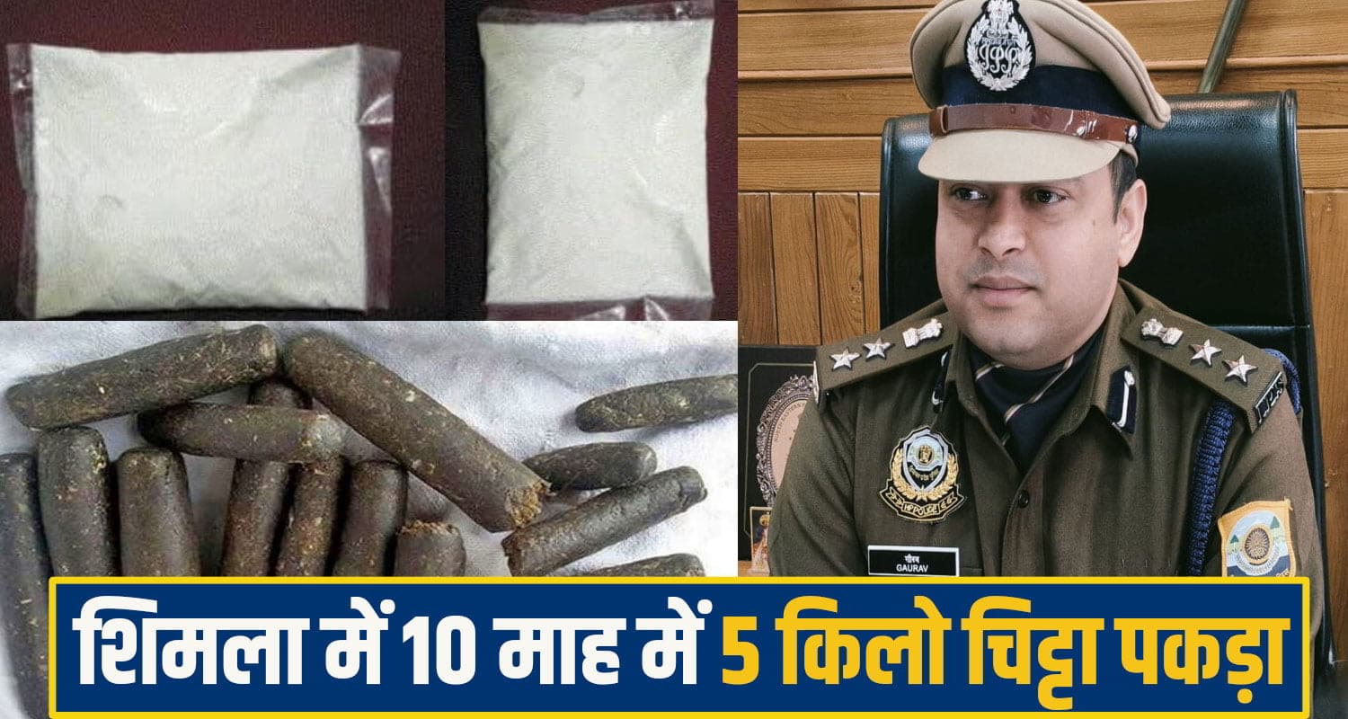 शिमला पुलिस ने पकड़ा 5 किलो चिट्टा!... 10 माह में 549 नशा तस्कर गिरफ्तार; LSD भी मिला Shimla Chitta News