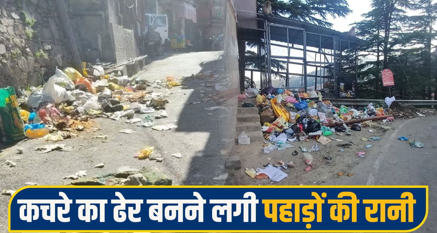 कूड़े का ढेर बनने लगी पहाड़ों की रानी शिमला: सड़कों पर लगे कचरे के ढेर; 3 दिन से हड़ताल पर कर्मचारी Shimla Garbage Crisis