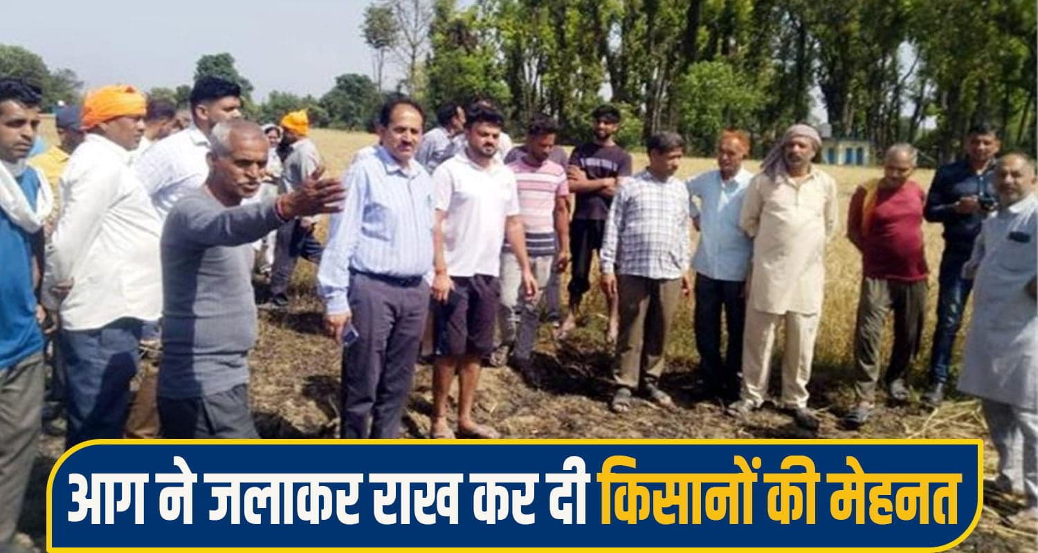 हिमाचल: किसानों की आंखों के सामने राख हुई गेहूं की फसल, चिंगारी ने 30 बीघा भूमि पर बरपाया कहर sirmaur news