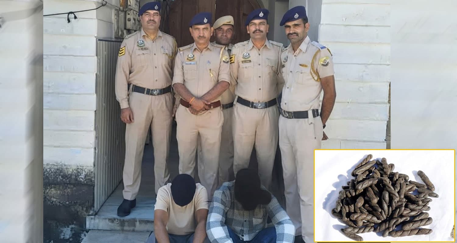 हिमाचल : नाके पर पुलिस को गाड़ी से मिली ढेर सारी चरस, सप्लाई करने निकले थे तस्कर- दोनों अरेस्ट Himachal Pradesh news