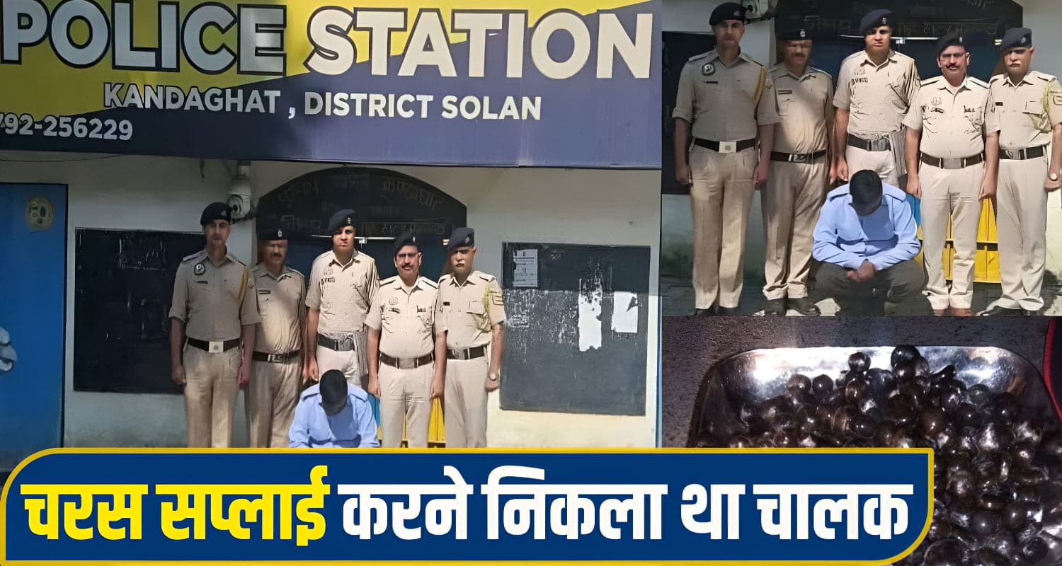 हिमाचल: चालक ने टैक्सी में सवारियों की जगह भरी थी नशे की खेप, पुलिस ने ऐसे पकड़ा HIMACHAL NEWS