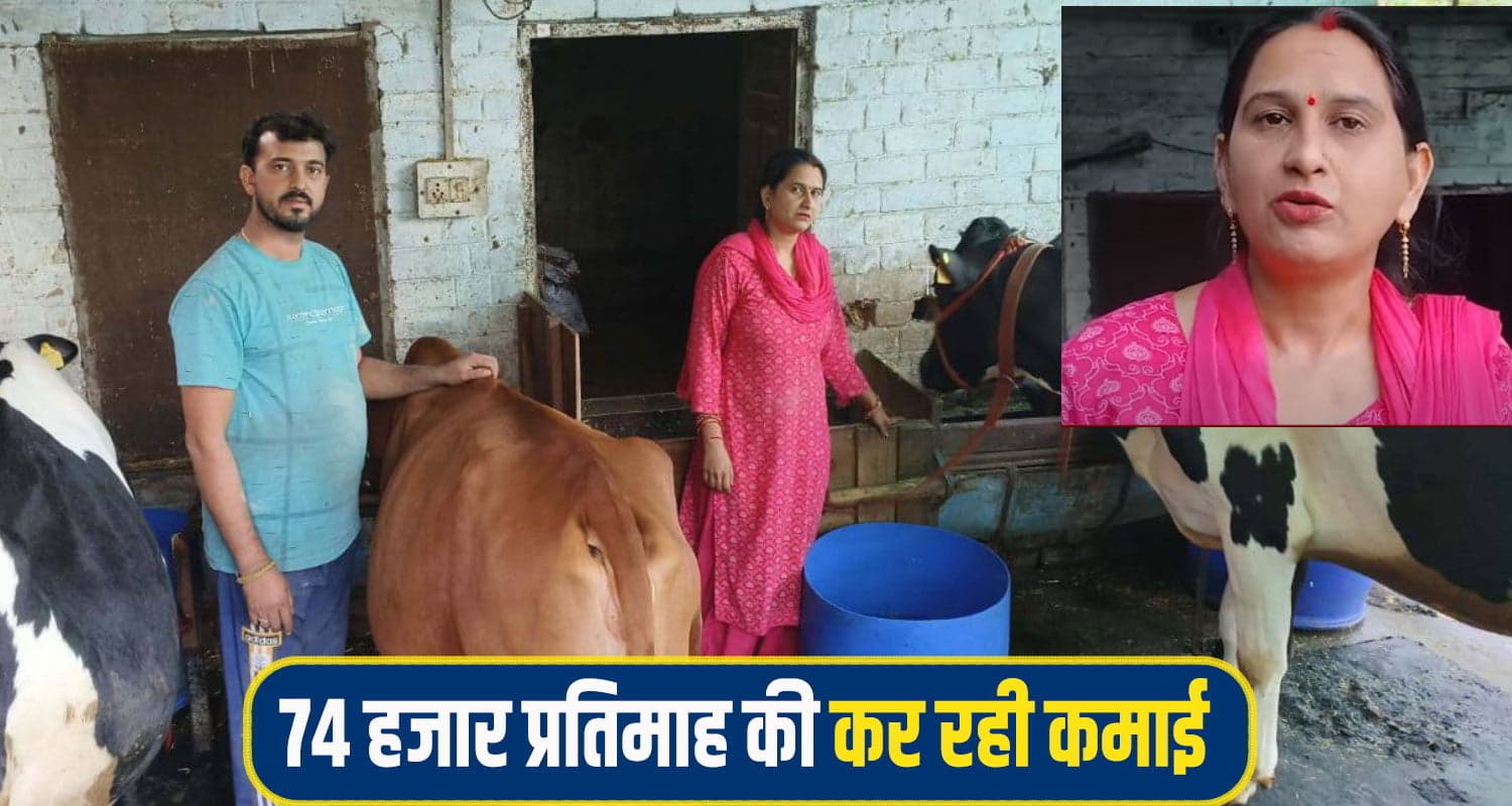 हिमाचल: शिक्षिका के साथ डेयरी उद्यमी बनी सोनिका, स्मार्ट वर्क से रची सफलता की कहानी sonika dairy farming