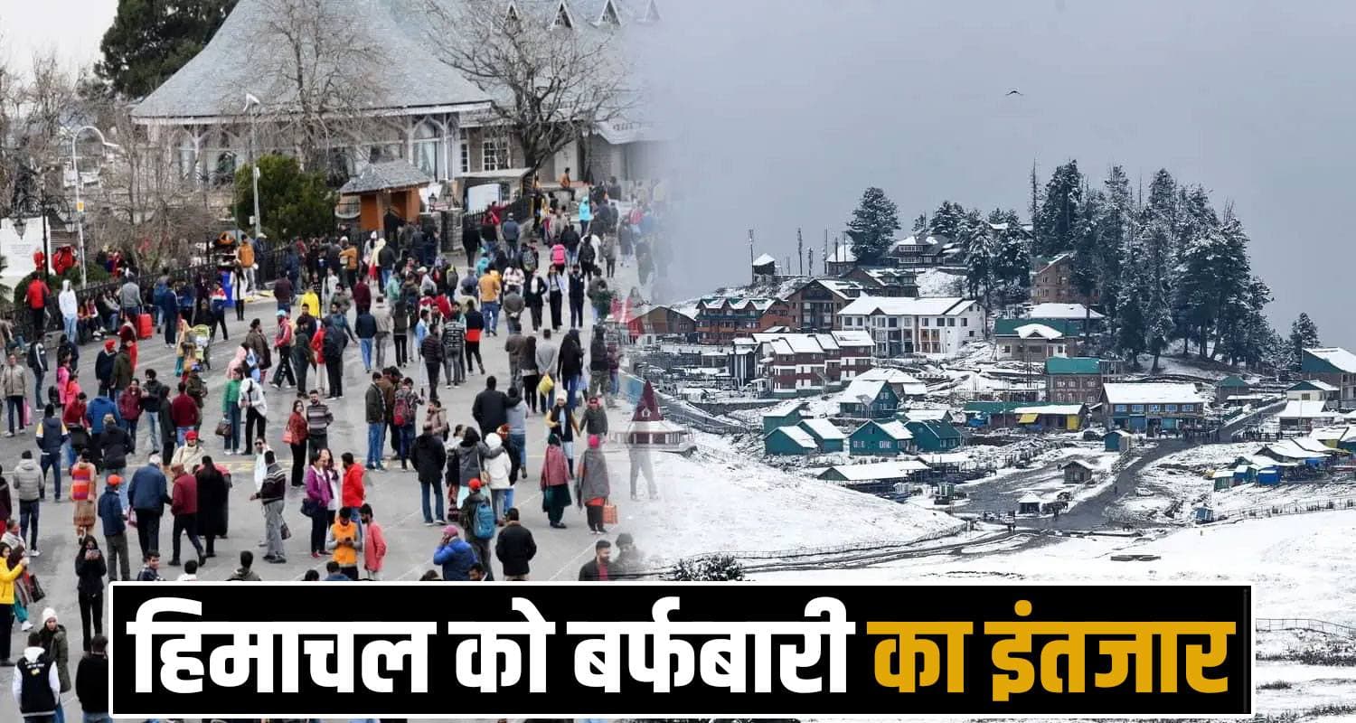 हिमाचल में ठिठुरती ठंड, मगर बर्फ गायब : खेती पर संकट बढ़ा, आज 7 जिलों में कोहरे का अलर्ट Himachal Weather Forecast